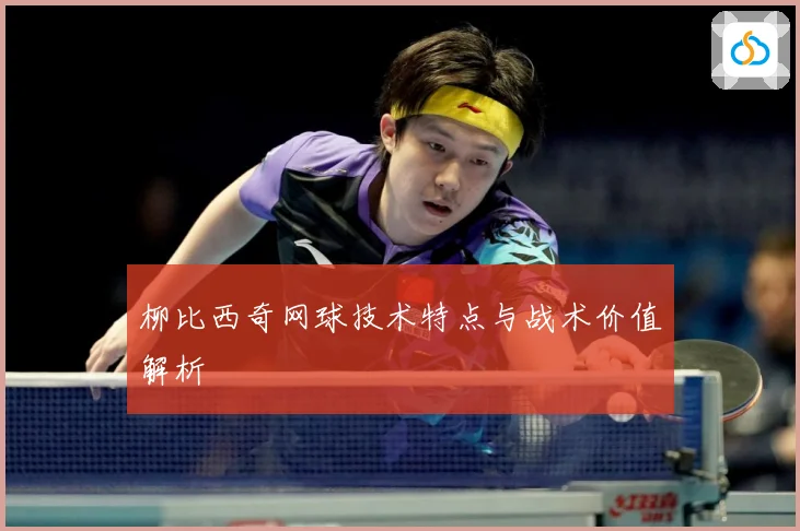 柳比西奇网球技术特点与战术价值解析