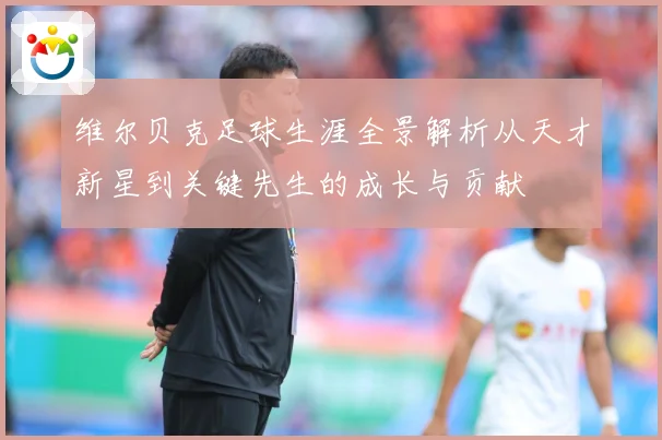 维尔贝克足球生涯全景解析从天才新星到关键先生的成长与贡献
